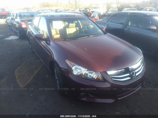 HONDA ACCORD SDN 2012 1hgcp3f88ca013800