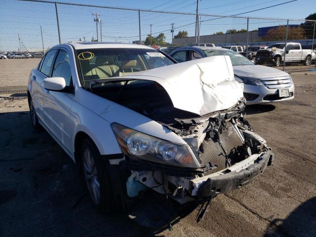 HONDA ACCORD EXL 2012 1hgcp3f88ca017071