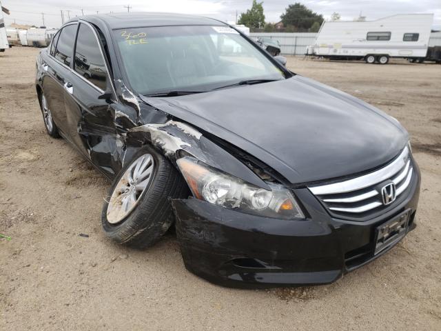 HONDA ACCORD EXL 2012 1hgcp3f88ca017877