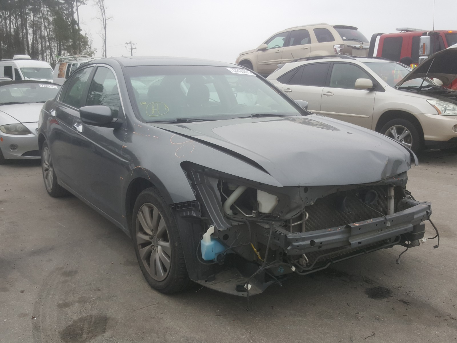 HONDA ACCORD EXL 2012 1hgcp3f88ca029219