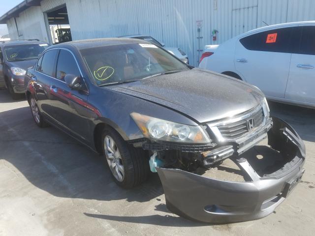 HONDA ACCORD EXL 2010 1hgcp3f89aa002897