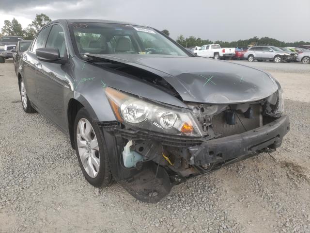 HONDA ACCORD EXL 2010 1hgcp3f89aa005427