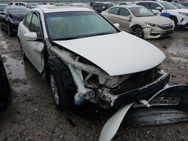 HONDA ACCORD EXL 2010 1hgcp3f89aa009042