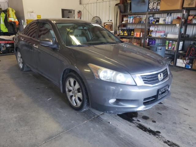 HONDA ACCORD EXL 2010 1hgcp3f89aa009719