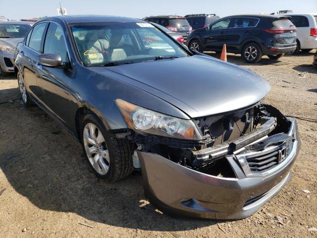 HONDA ACCORD EXL 2010 1hgcp3f89aa010322