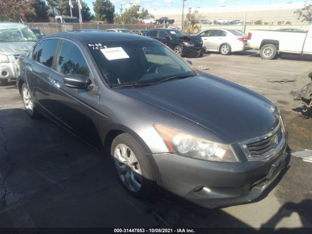 HONDA ACCORD SDN 2010 1hgcp3f89aa011566