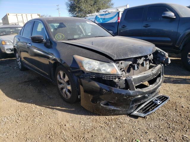 HONDA ACCORD EXL 2010 1hgcp3f89aa019957