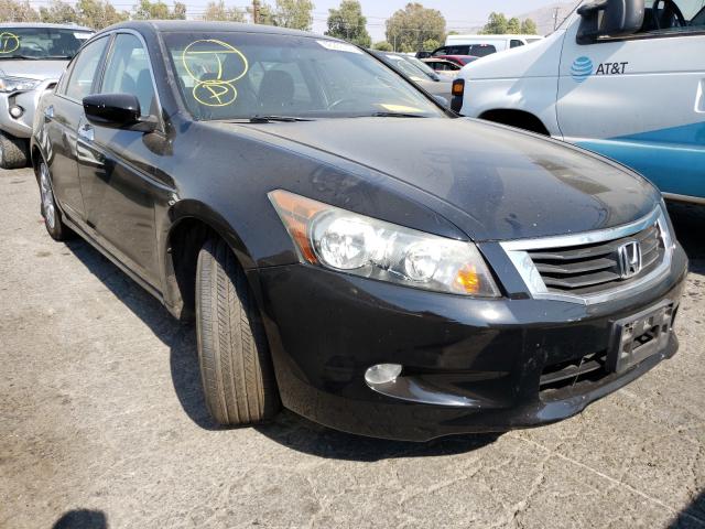 HONDA ACCORD EXL 2010 1hgcp3f89aa023023