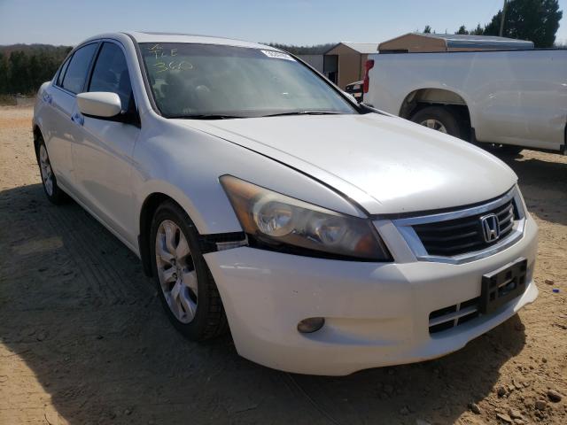 HONDA ACCORD EXL 2010 1hgcp3f89aa026665