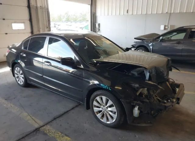 HONDA ACCORD 2011 1hgcp3f89ba002402