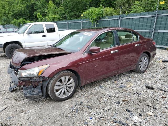 HONDA ACCORD EXL 2011 1hgcp3f89ba003310