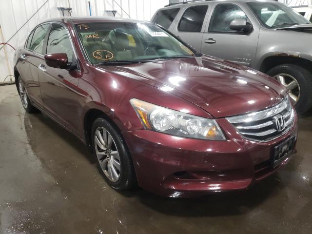 HONDA ACCORD EXL 2011 1hgcp3f89ba006417