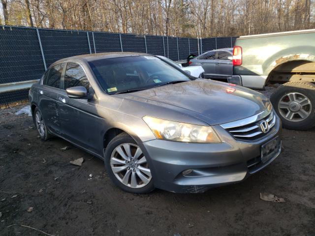 HONDA ACCORD EXL 2011 1hgcp3f89ba008684