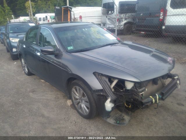 HONDA ACCORD 2011 1hgcp3f89ba008751