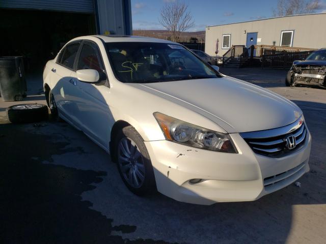 HONDA ACCORD EXL 2011 1hgcp3f89ba008863