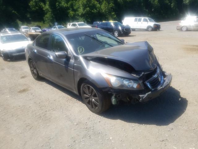 HONDA ACCORD EXL 2011 1hgcp3f89ba010841