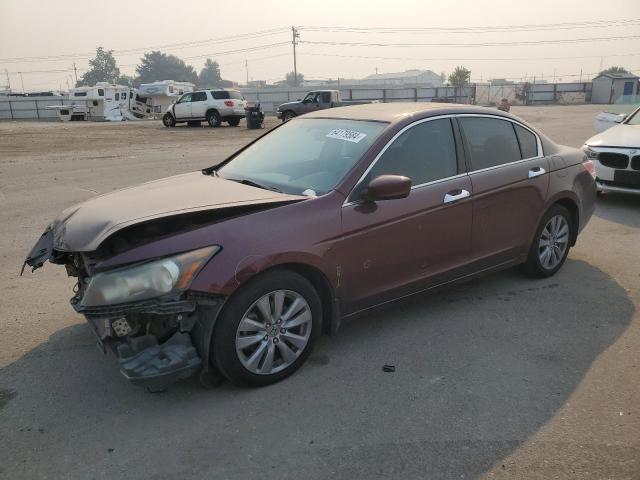 HONDA ACCORD EXL 2011 1hgcp3f89ba013853