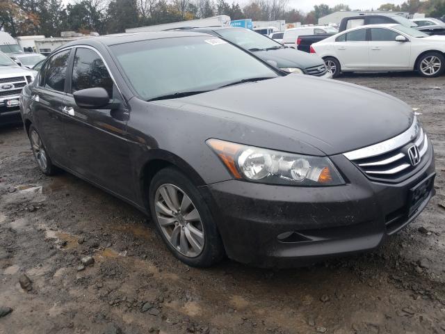 HONDA ACCORD EXL 2011 1hgcp3f89ba016428