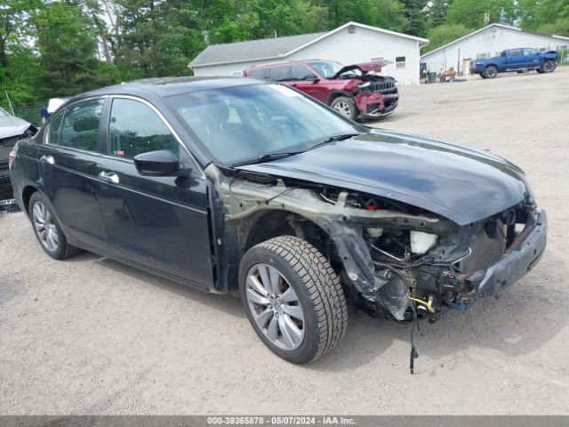 HONDA ACCORD 2011 1hgcp3f89ba017207