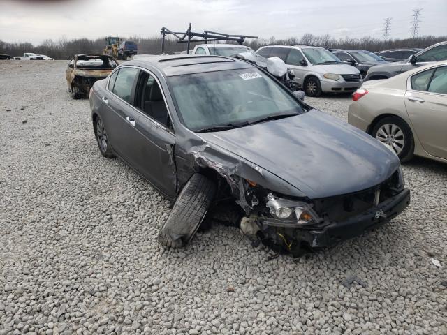 HONDA ACCORD EXL 2011 1hgcp3f89ba018048