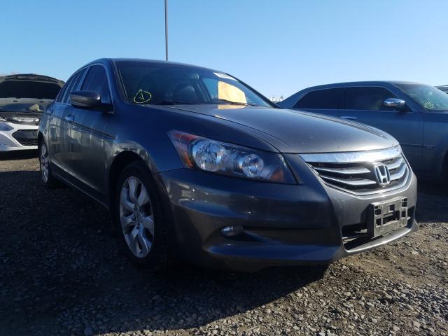 HONDA ACCORD EXL 2011 1hgcp3f89ba019216