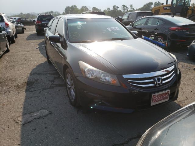 HONDA ACCORD EXL 2011 1hgcp3f89ba020107