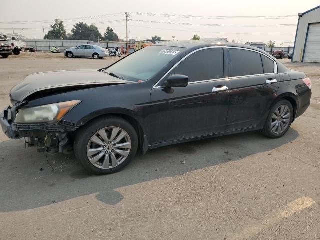 HONDA ACCORD 2011 1hgcp3f89ba020415