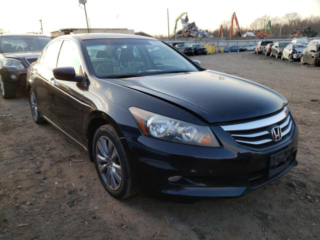 HONDA ACCORD EXL 2011 1hgcp3f89ba021242