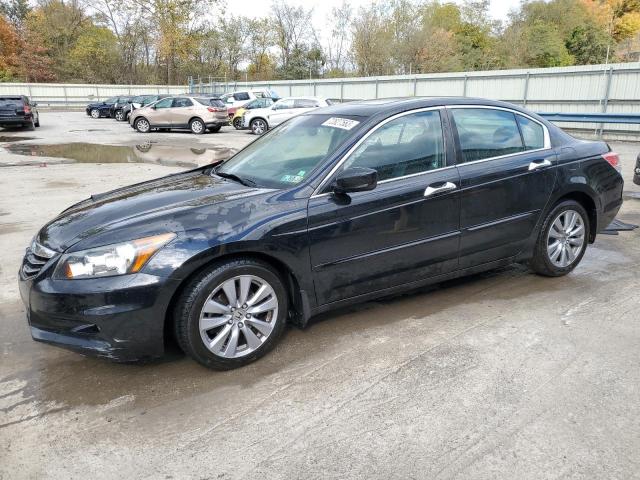 HONDA ACCORD EXL 2011 1hgcp3f89ba024545