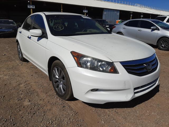 HONDA ACCORD EXL 2011 1hgcp3f89ba026117