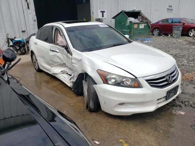 HONDA ACCORD EXL 2011 1hgcp3f89ba029339