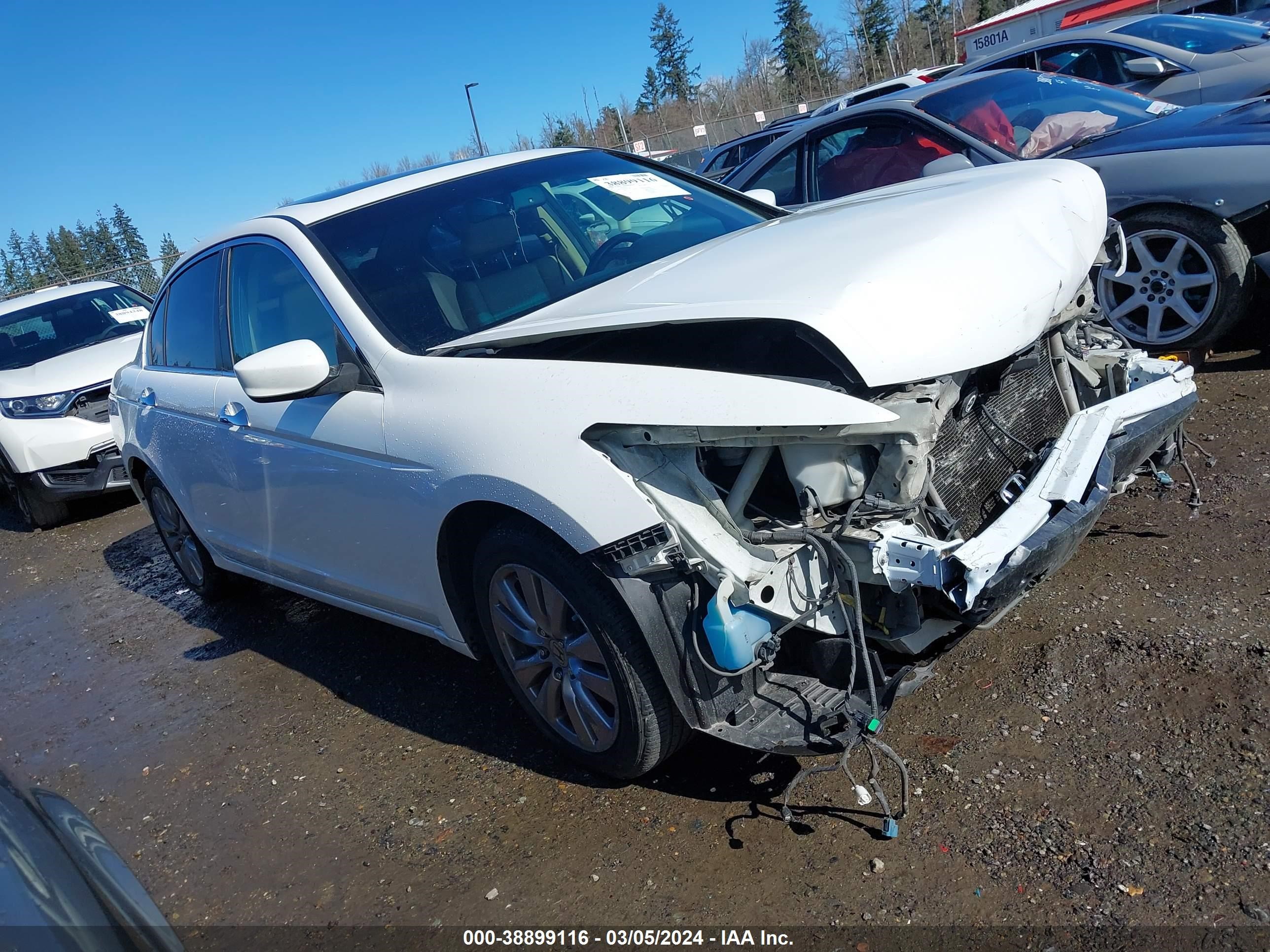 HONDA ACCORD 2011 1hgcp3f89ba031768