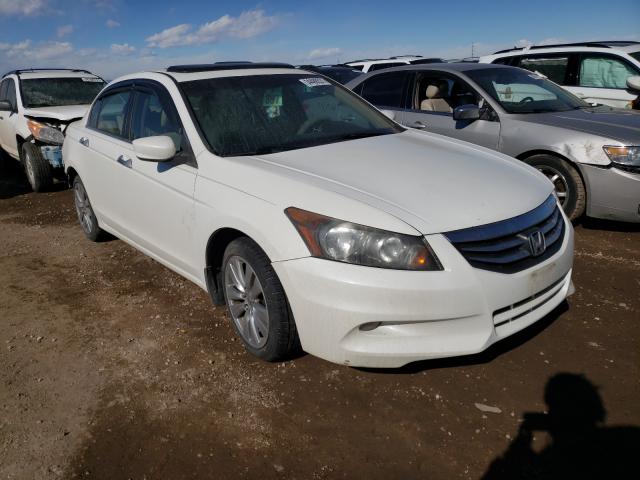 HONDA ACCORD EXL 2012 1hgcp3f89ca021601