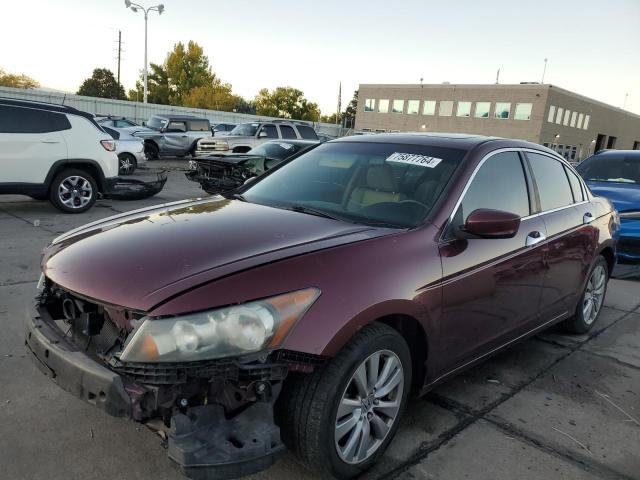 HONDA ACCORD EXL 2012 1hgcp3f89ca041900