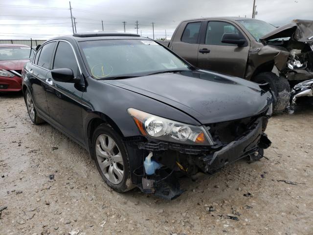 HONDA ACCORD EXL 2010 1hgcp3f8xaa000091