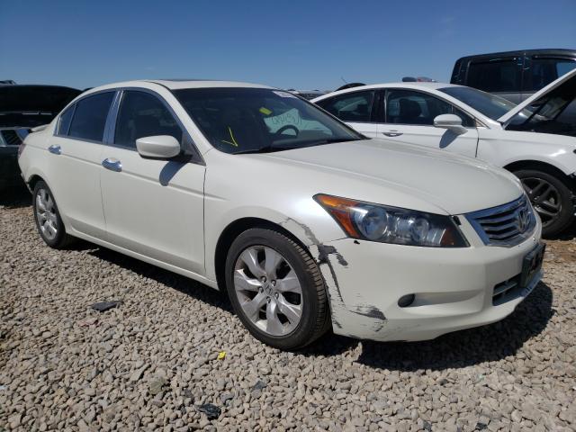 HONDA ACCORD EXL 2010 1hgcp3f8xaa001273