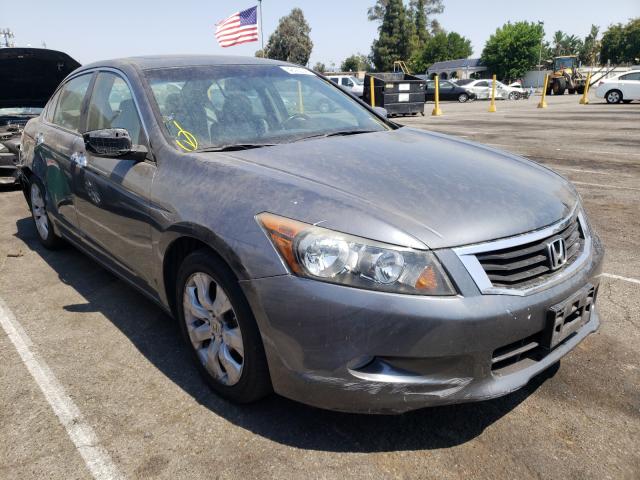 HONDA ACCORD EXL 2010 1hgcp3f8xaa006232