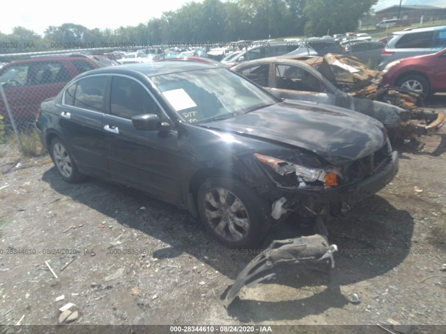 HONDA ACCORD SDN 2010 1hgcp3f8xaa008076