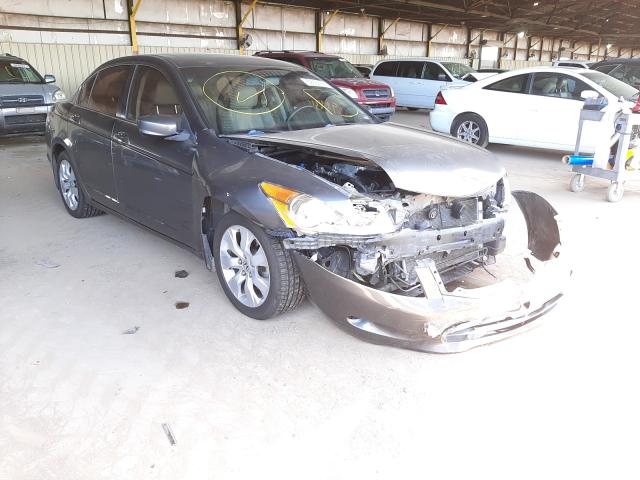 HONDA ACCORD EXL 2010 1hgcp3f8xaa014248