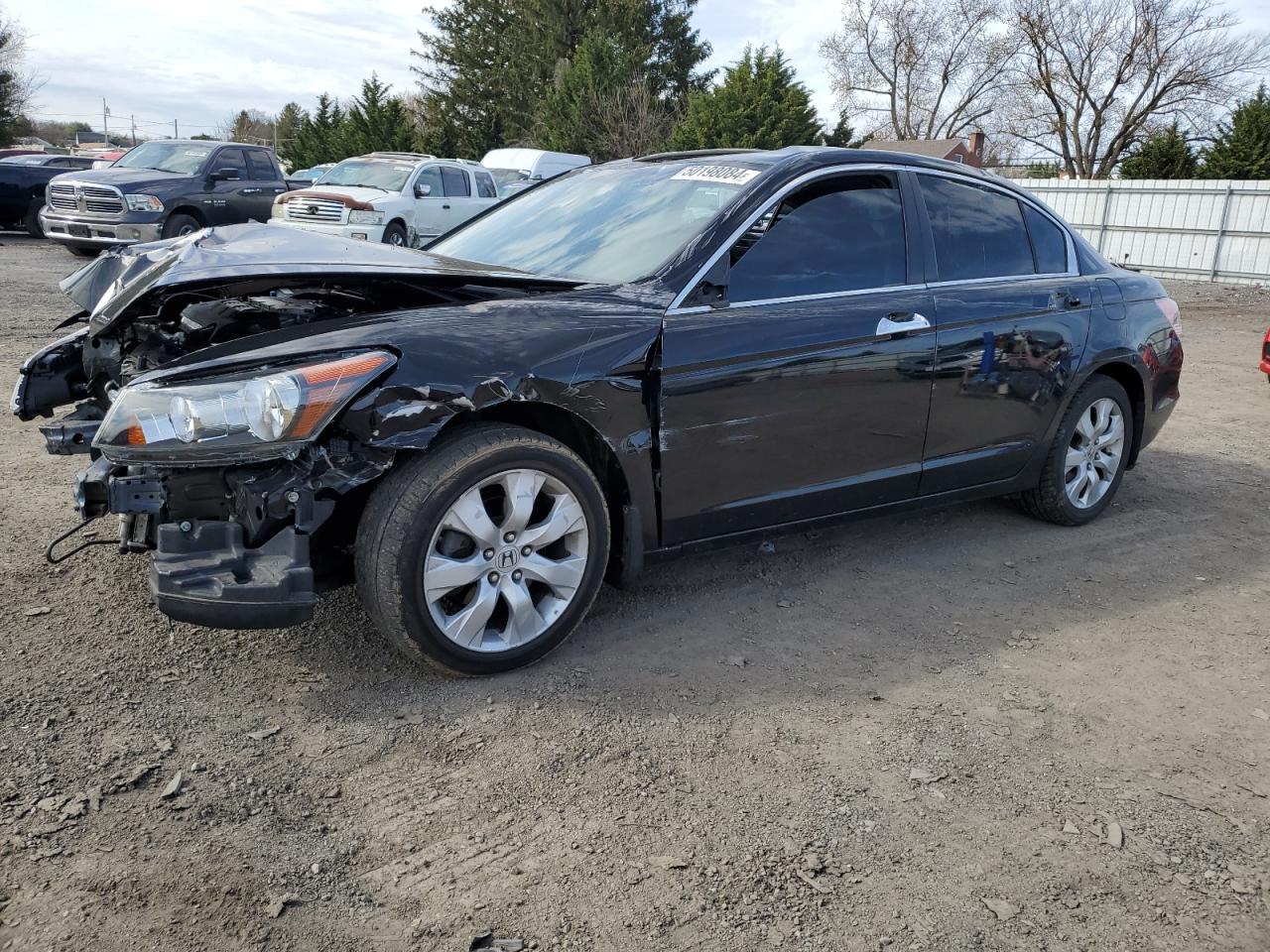 HONDA ACCORD 2010 1hgcp3f8xaa014296