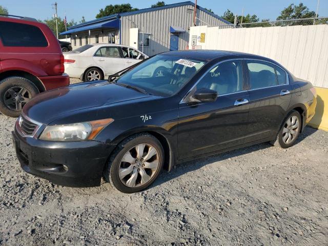 HONDA ACCORD 2010 1hgcp3f8xaa023015