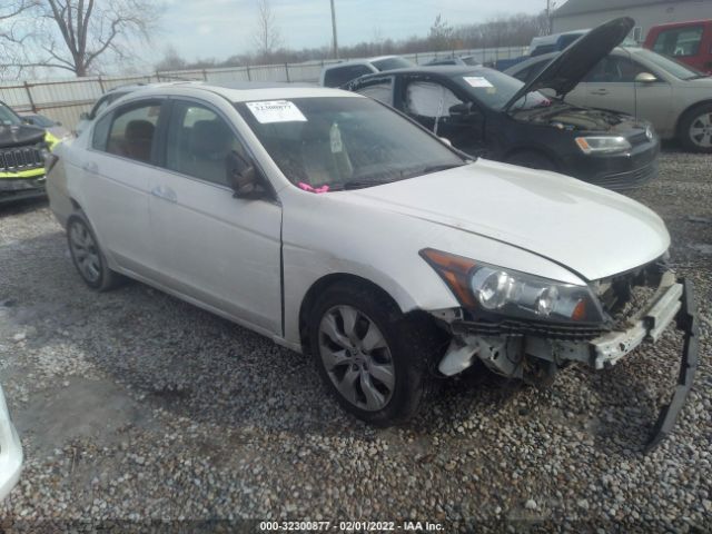 HONDA ACCORD SDN 2010 1hgcp3f8xaa029378