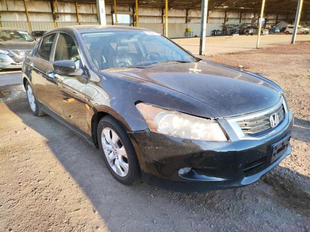 HONDA ACCORD EXL 2010 1hgcp3f8xaa031034