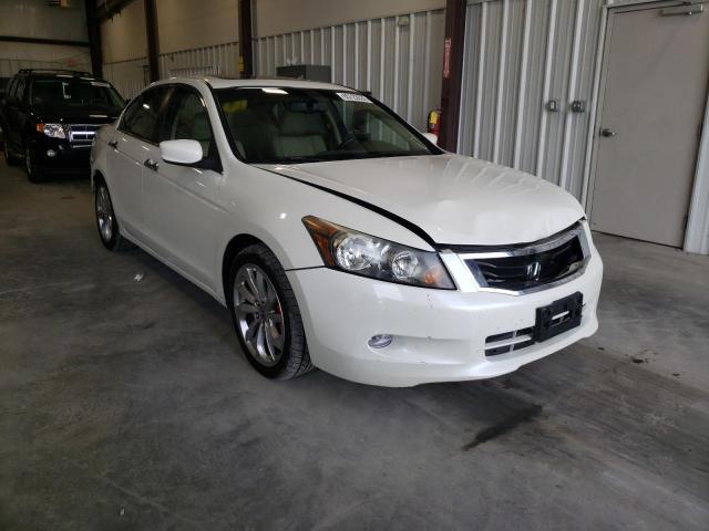 HONDA ACCORD EXL 2010 1hgcp3f8xaa032006