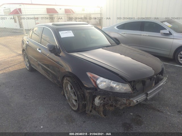 HONDA ACCORD SDN 2011 1hgcp3f8xba003848