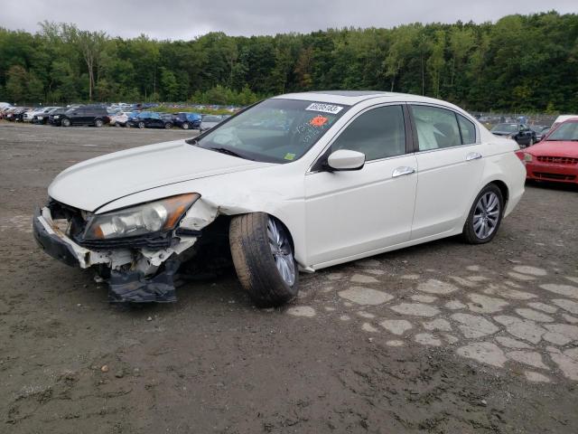 HONDA ACCORD EXL 2011 1hgcp3f8xba004028