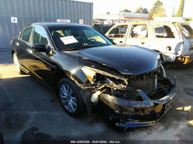 HONDA ACCORD SDN 2011 1hgcp3f8xba008483