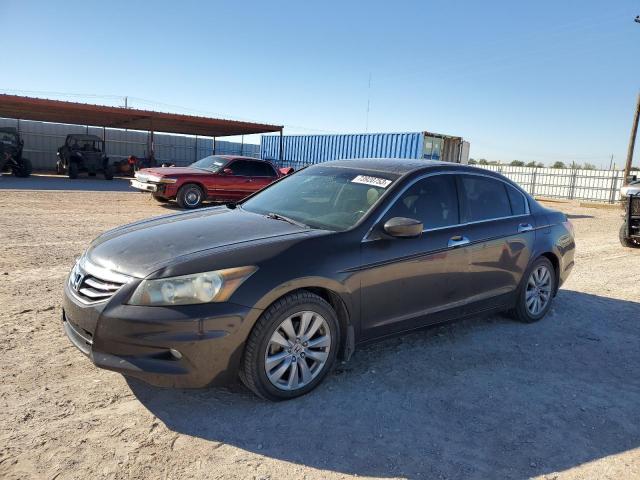 HONDA ACCORD 2011 1hgcp3f8xba009438