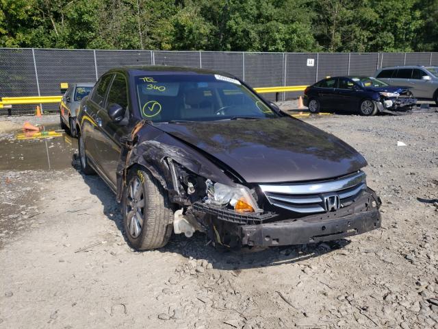 HONDA ACCORD EXL 2011 1hgcp3f8xba010508