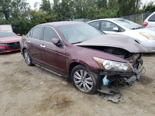 HONDA ACCORD EXL 2011 1hgcp3f8xba012680